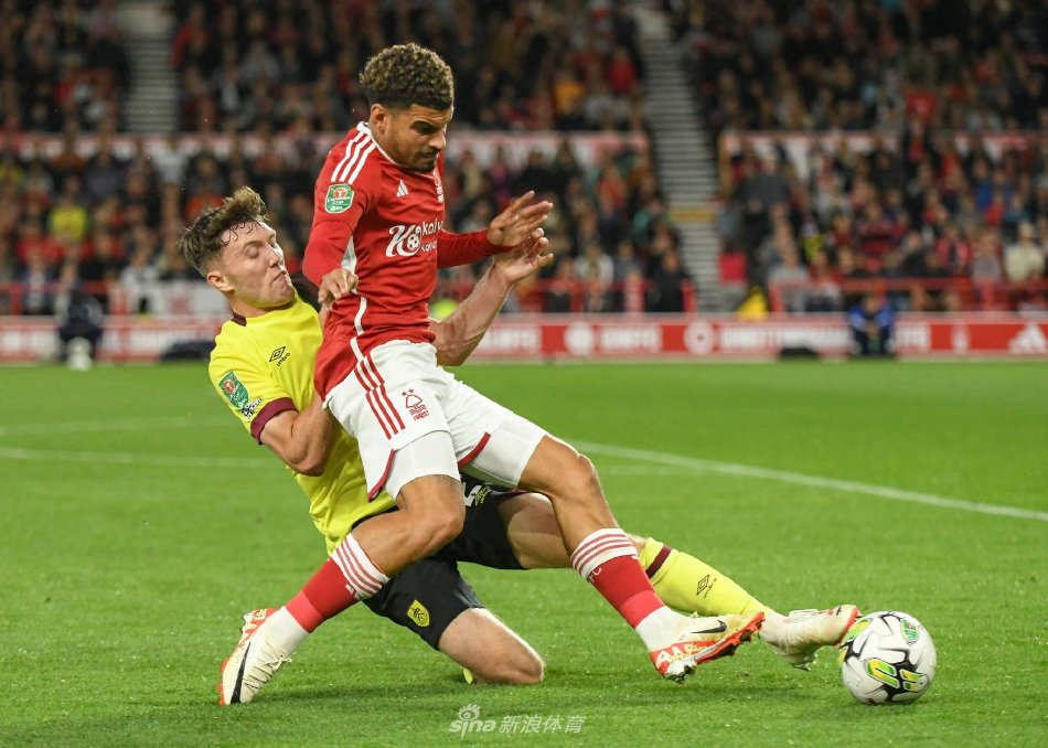 他感受到归 他感受到归